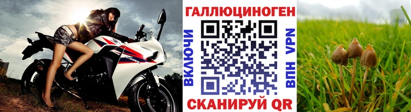 Купить  Нефтегорск  Галлюциногенные грибы Psilocybe 